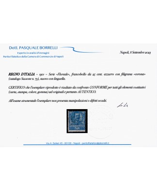 1901 - Floreale c. 24 nuovo con linguella, Certificato